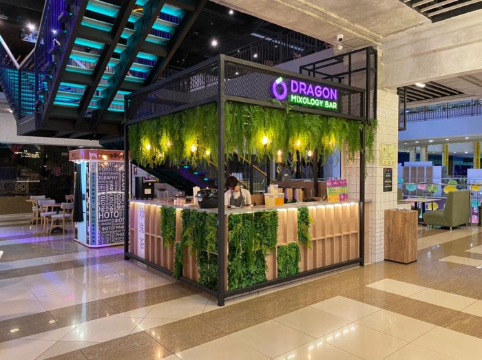Франшиза Dragon Mixology Bar - чайно-фруктовые напитки