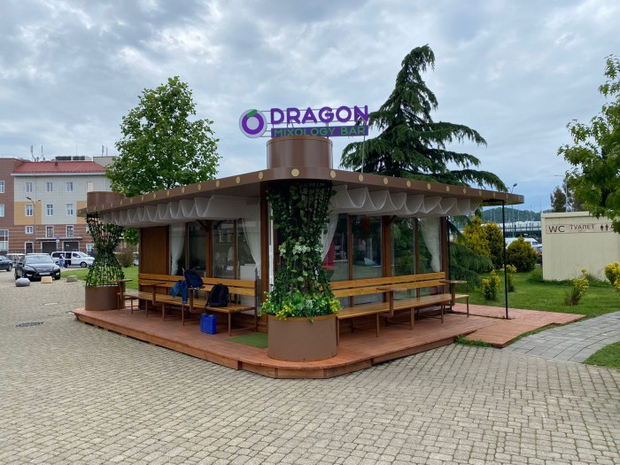 Франшиза Dragon Mixology Bar - чайно-фруктовые напитки