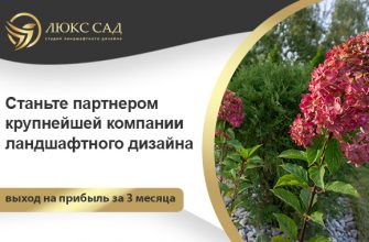 ЛЮКССАД
