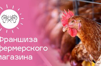 Мясная лавка фермы Петухова