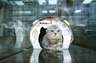 BookingCat