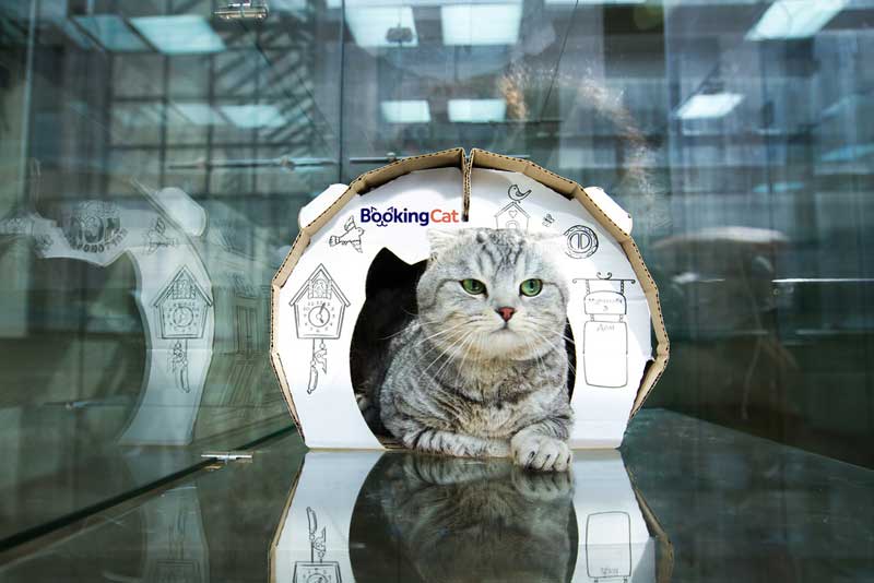 BookingCat