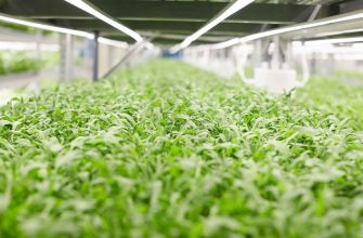 iFarm
