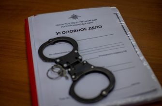 уголовные дела против блогеров