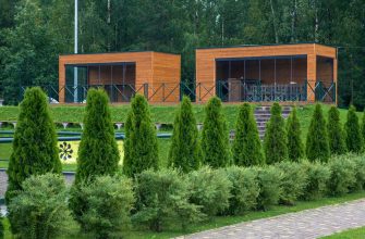 продажам растений из моего дачного питомника