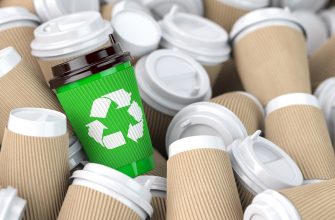 Как бизнесу перерабатывать отходы и упаковку